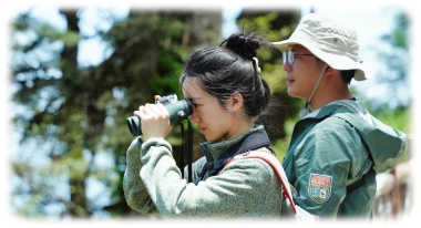 トラベルデザイナー